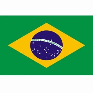Vlag Brazilie