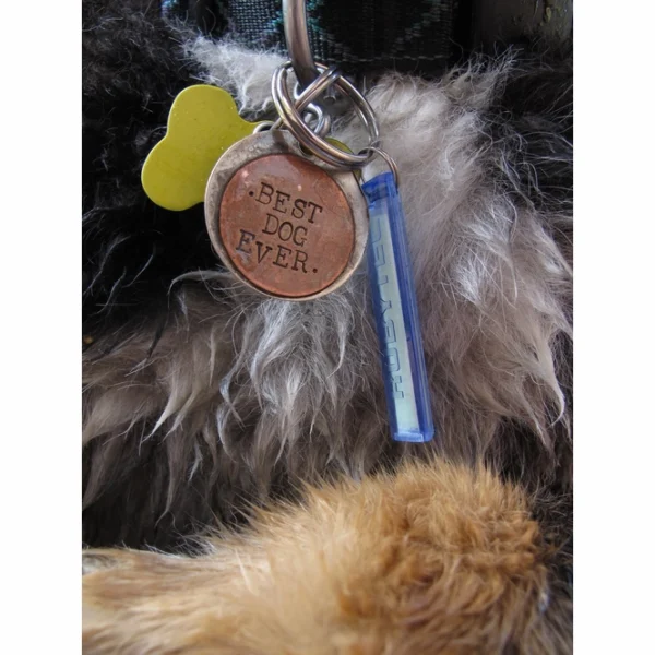 Firefly Glowstick white blister 2st.12 <h3 data-start="0" data-end="86"><strong data-start="4" data-end="84">Rubytec Firefly Glowstick – Duurzaam & Milieuvriendelijk Licht in het Donker</strong></h3> <p data-start="113" data-end="371">De <strong data-start="116" data-end="145">Rubytec Firefly Glowstick</strong> is een <strong data-start="153" data-end="175">lichtgevende stick</strong> die je helpt om belangrijke voorwerpen in het donker snel terug te vinden. Gebruik hem als <strong data-start="267" data-end="284">sleutelhanger</strong>, <strong data-start="286" data-end="301">ritstrekker</strong> of <strong data-start="305" data-end="318">markering</strong> voor EHBO-kits, tentopeningen, huisdieren en meer.</p> <p data-start="373" data-end="729">Zonder gebruik van batterijen of stroom <strong data-start="413" data-end="453">blijft de Firefly tot 10 uur gloeien</strong> en behoudt hij zijn lichtgevende eigenschappen <strong data-start="501" data-end="520">tot wel 10 jaar</strong>! Dankzij het <strong data-start="534" data-end="560">duurzame ABS-materiaal</strong> en het <strong data-start="568" data-end="614">milieuvriendelijke, niet-giftige granulaat</strong> is deze glowstick een <strong data-start="637" data-end="674">betrouwbare en duurzame lichtbron</strong> voor outdoor avonturen, reizen en dagelijks gebruik.</p>