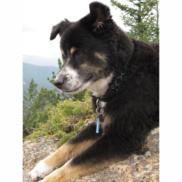 Firefly Glowstick white blister 2st.13 <h3 data-start="0" data-end="86"><strong data-start="4" data-end="84">Rubytec Firefly Glowstick – Duurzaam & Milieuvriendelijk Licht in het Donker</strong></h3> <p data-start="113" data-end="371">De <strong data-start="116" data-end="145">Rubytec Firefly Glowstick</strong> is een <strong data-start="153" data-end="175">lichtgevende stick</strong> die je helpt om belangrijke voorwerpen in het donker snel terug te vinden. Gebruik hem als <strong data-start="267" data-end="284">sleutelhanger</strong>, <strong data-start="286" data-end="301">ritstrekker</strong> of <strong data-start="305" data-end="318">markering</strong> voor EHBO-kits, tentopeningen, huisdieren en meer.</p> <p data-start="373" data-end="729">Zonder gebruik van batterijen of stroom <strong data-start="413" data-end="453">blijft de Firefly tot 10 uur gloeien</strong> en behoudt hij zijn lichtgevende eigenschappen <strong data-start="501" data-end="520">tot wel 10 jaar</strong>! Dankzij het <strong data-start="534" data-end="560">duurzame ABS-materiaal</strong> en het <strong data-start="568" data-end="614">milieuvriendelijke, niet-giftige granulaat</strong> is deze glowstick een <strong data-start="637" data-end="674">betrouwbare en duurzame lichtbron</strong> voor outdoor avonturen, reizen en dagelijks gebruik.</p>