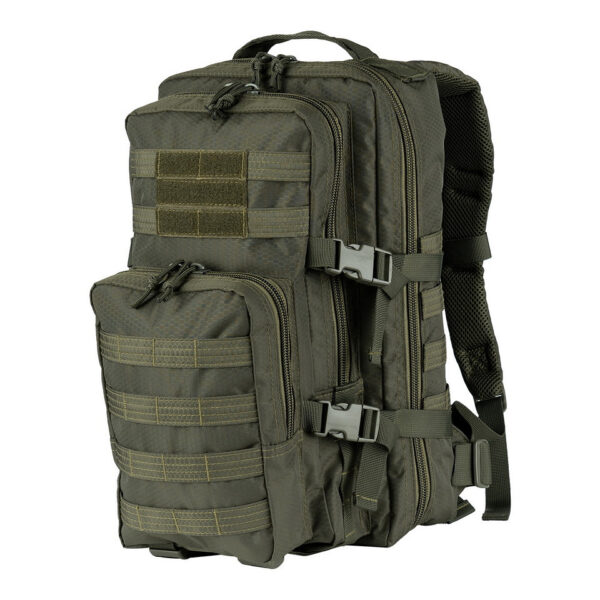 351750 125 01 1 <p>De Rugzak Assault Hexagon 25L is de ideale metgezel voor de functionele reiziger. Met een tactische uitstraling en slimme indeling biedt deze backpack voldoende ruimte en mogelijkheden voor al je uitrusting. Dankzij de MOLLE-lussen kun je eenvoudig extra gear bevestigen, terwijl de gevoerde schouderriemen en verstelbare heupriem zorgen voor optimaal draagcomfort. Met een inhoud van 25 liter en verschillende opbergmogelijkheden blijf je georganiseerd, of je nu onderweg bent voor dagelijks gebruik of outdooractiviteiten.</p>